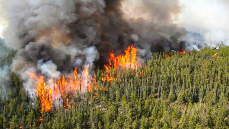 Preventing wildfires? There’s an app for that
