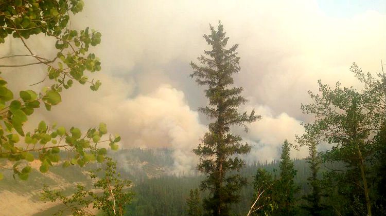 A controlled burn near Enterprise, NWT, in July 2015