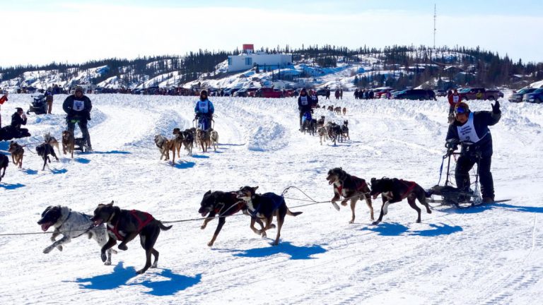 Dominion returns as sponsor of Yellowknife’s annual dog derby